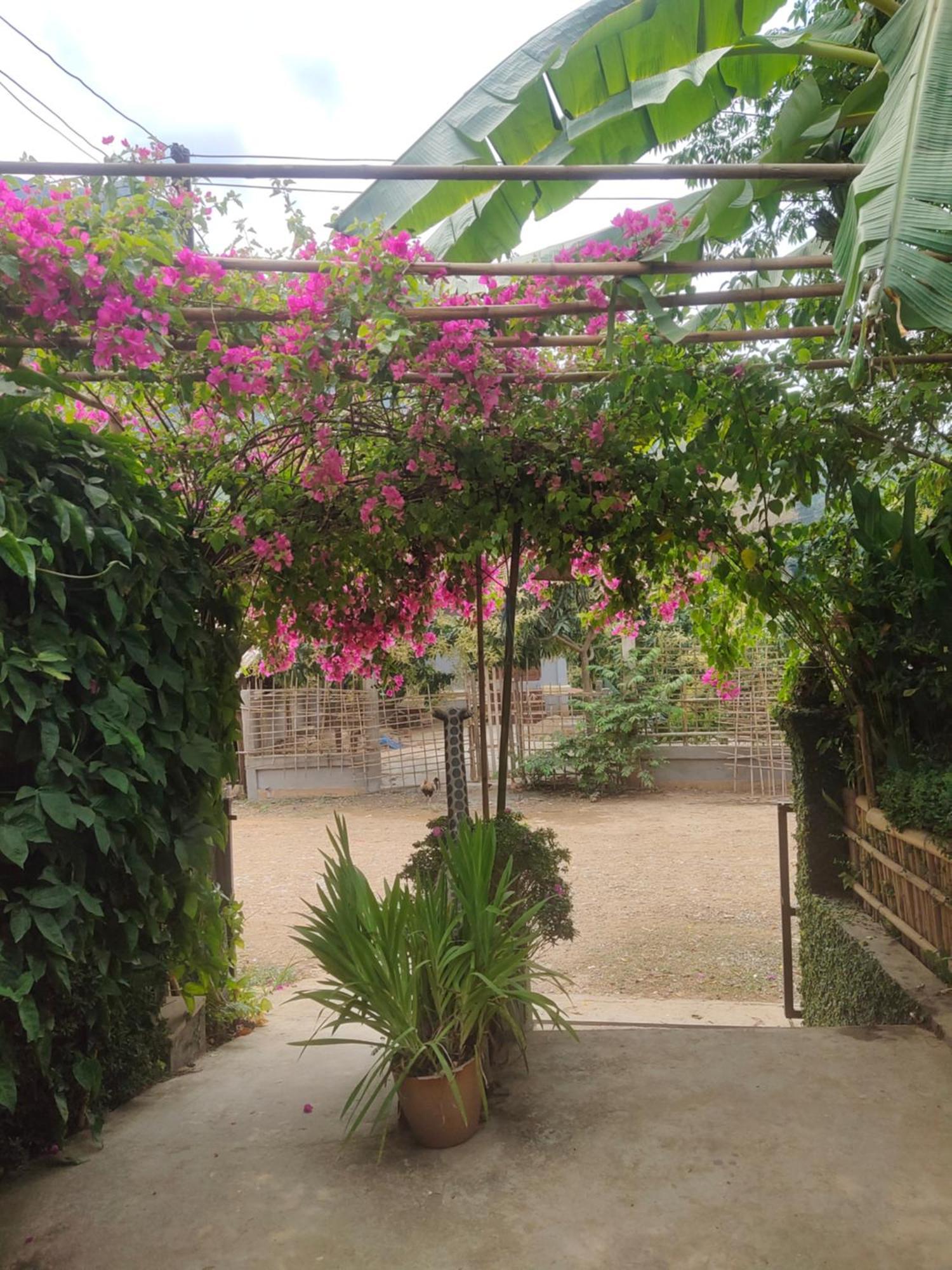 Meexok Guesthouse Nongkhiaw Kültér fotó